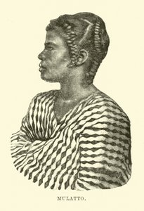 Mulatto by English School