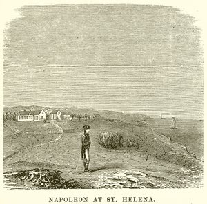 Napoleon at St. Helena by English School