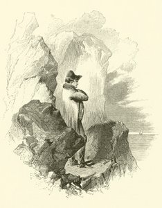 Napoleon in Exile (engraving) by English School