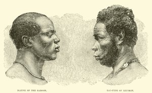 Native of the Gaboon; Tau-type of Kruman by English School