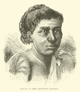 Native of the Sandwich Islands by English School