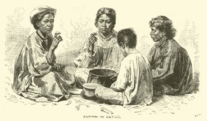 Natives of Hawaii by English School