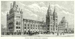 Natural History Museum, South Kensington by English School