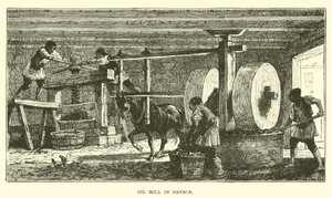 Oil Mill in Greece