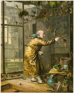 Old man in his aviary
