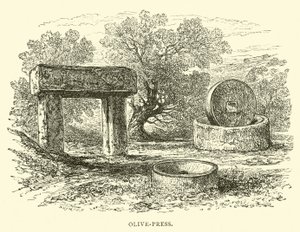 Olive-Press by English School