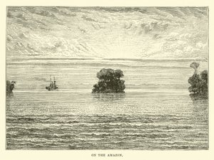 On the Amazon by English School