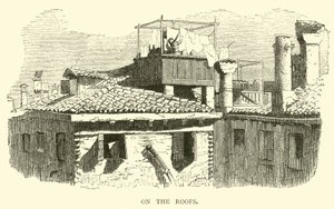 On the Roofs by English School