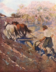 Ontario, a Glengarry Settler