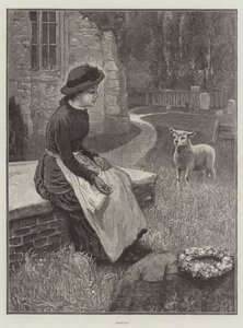 Orphans by English School