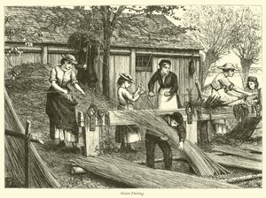 Osier-Peeling by English School