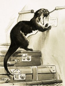 Otter Stopping the Train