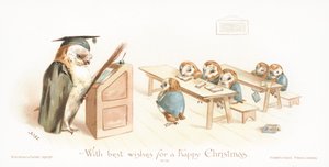 Owl Teaching Owlets in Classroom