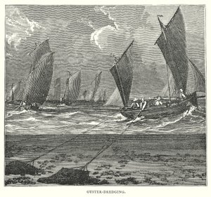 Oyster-Dredging