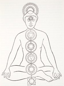 Padmasana or Lotus Position by English School