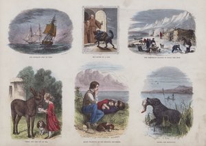 Page from the Attractive Picture Book by English School