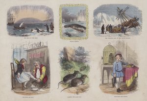 Page from the Attractive Picture Book