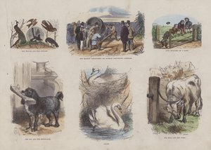 Page from the Attractive Picture Book by English School