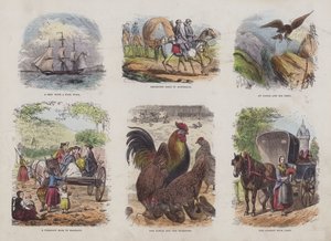 Page from the Attractive Picture Book by English School