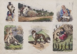 Page from the Attractive Picture Book by English School