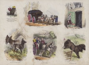 Page from the Attractive Picture Book by English School