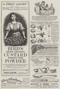 Page of Advertisements by English School