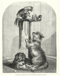Parrot and dogs by English School