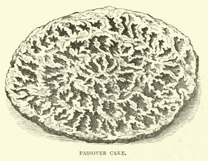 Passover Cake by English School