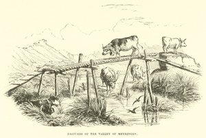 Pastures of the Valley of Meyringen by English School