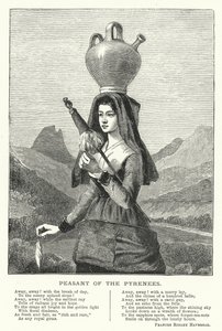 Peasant of the Pyrenees (engraving) by English School