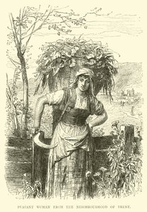 Peasant woman from the neighbourhood of Trent by English School