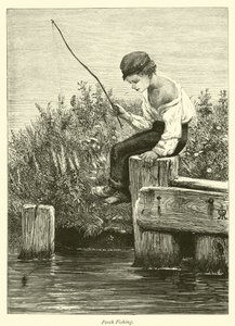Perch Fishing