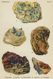 Phosphates, wavellite, lazulite, cuprouranite, vivianite, turquoise by English School