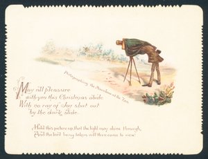 Photographing the maraboo at the zoo by English School