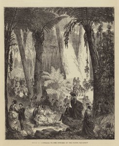 Picnic in Australia to the Officers of the Flying Squadron by English School