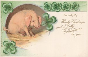 Pig in Clover by English School