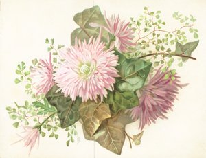 Pink Flowers (Dahlia) by English School