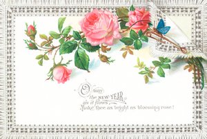 Pink Roses and Blue Butterfly