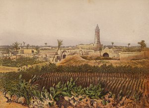 Places Mentioned in the Bible: Gaza, The Old Town by English School