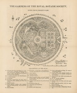 Plan View of the Gardens of the Royal Botanic Society by English School