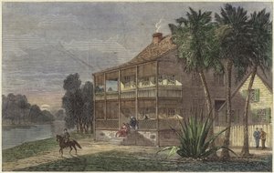 Planter