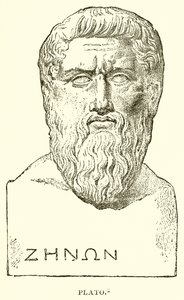Plato by English School