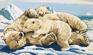 Polar Bear and Cubs