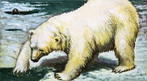 Polar Bear Fishing