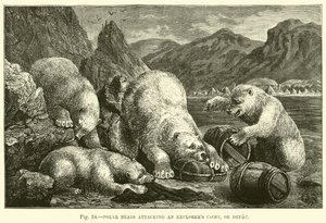 Polar bears attacking an explorers cache, or depot by English School