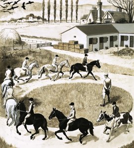 Ponies Exercising