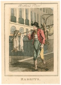Portland Place. Rabbits by English School