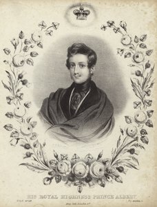Portrait of Albert, the Prince Consort by English School