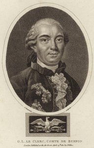 Portrait of Georges-Louis Leclerc, Comte de Buffon by English School