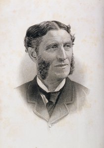 Portrait of Matthew Arnold by English School
